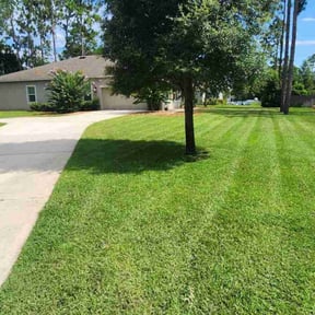 yard work by Delgado landscaping reviewed on November 18, 2025