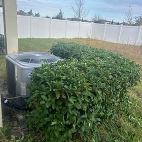 Bush Trimming by Second Glance Landscaping LLC reviewed on August 15, 2025