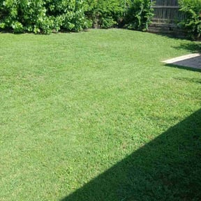 landscaping services by MT Lawn Care reviewed on August 15, 2025