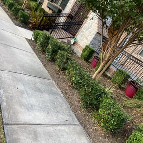 Bush Trimming by MVP Lawn & Landscaping reviewed on August 18, 2025