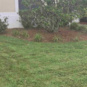 Flower Bed Weeding by El Coqui Lawn Care reviewed on October 24, 2025