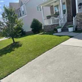 yard maintenance by Good looking lawn llc reviewed on August 15, 2025