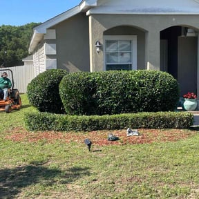 Bush Trimming by Stetty's Lawn LLC reviewed on August 19, 2025