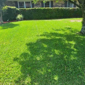 yard care by Mow-Hawk lawn service reviewed on August 18, 2025