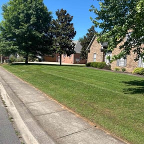 landscaping services by M D CUSTOM SERVICE SOLUTIONS reviewed on August 19, 2025