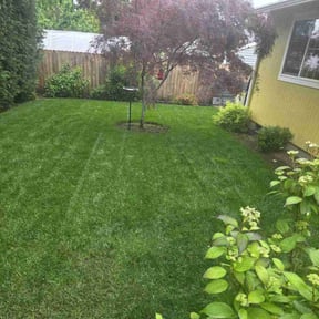 yard work by SunnySide Servicing reviewed on August 15, 2025