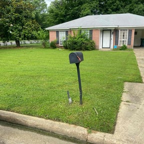 yard care by Leggy Lawn Care reviewed on August 15, 2025