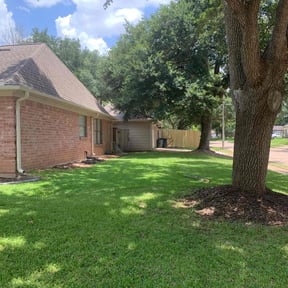 turf maintenance by Caesar’s Premier Landscaping reviewed on May 15, 2024