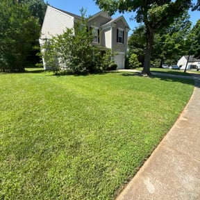 yard maintenance by D&amp;D Reliable Services LLC reviewed on August 17, 2025