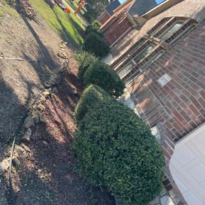 Bush Trimming by Gary Wright landscaping reviewed on August 15, 2025