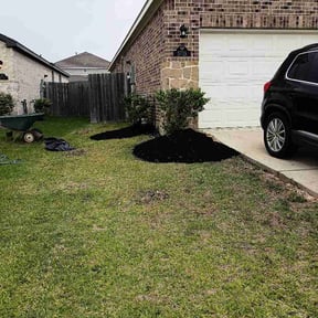 Mulching by Torres Transformations reviewed on May 4, 2026