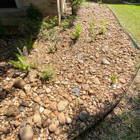 Leaf Removal by  reviewed on September 20, 2025