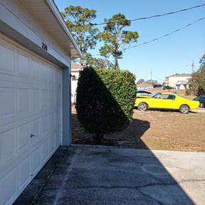 Bush Trimming by Greenway tree and lawn services inc reviewed on August 17, 2025