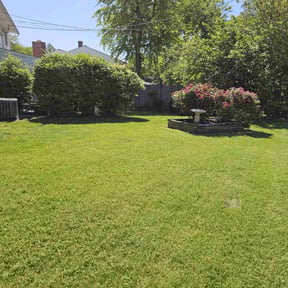 yard maintenance by Williams pressure wash and lawnservices reviewed on August 20, 2025