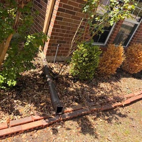 Flower Bed Weeding by Nothing less than perfect reviewed on April 16, 2026