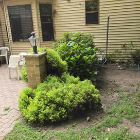 Bush Trimming by Skelly Lawn Service reviewed on August 2, 2026
