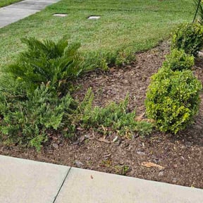 Flower Bed Weeding by Johnnie lawncare reviewed on October 20, 2025
