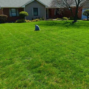 lawn service by King of Lawn Care LLC reviewed on May 13, 2024