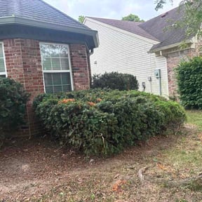 Flower Bed Weeding by Inland Empire Yard Care and Junk Removal reviewed on July 29, 2026