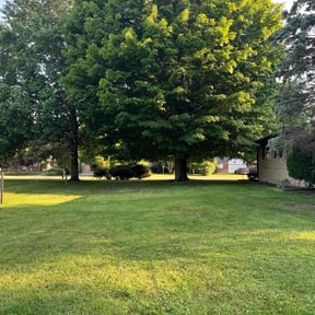 yard service by Rosales Lawn Care reviewed on August 18, 2025
