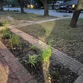 Leaf Removal by Family Lawn Care reviewed on September 21, 2025