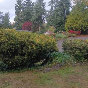 Flower Bed Weeding by Bert&#039;s Landscaping and Propery Mantienance  reviewed on November 7, 2025