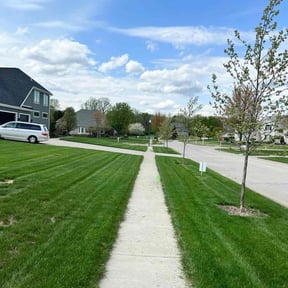 yard care by LaBriere Competition Services reviewed on August 13, 2025