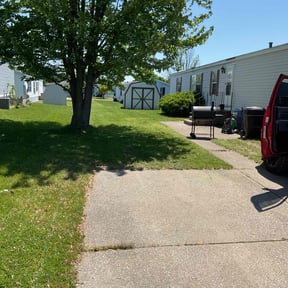 Bush Trimming by Jacobs lawn service reviewed on August 16, 2025