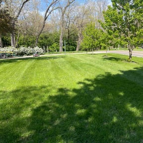 landscape maintenance by A.M.O.S. Lawncare LLC reviewed on August 16, 2025
