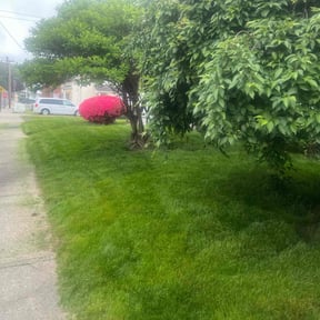 residential landscaping by Grow2Mow reviewed on August 18, 2025
