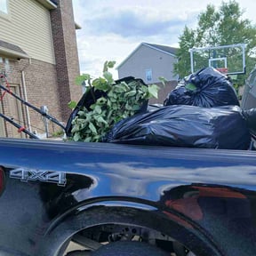 Leaf Removal by Allentown lawn &amp; landscape reviewed on September 23, 2025