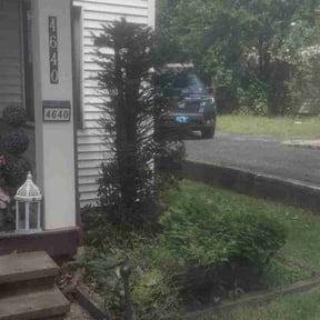 Bush Trimming by Kolb Lawn and Landscape reviewed on August 18, 2025