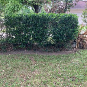 Bush Trimming by Gary's Lawn Service reviewed on August 20, 2025