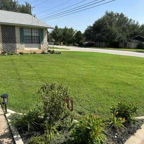 gardening service by Dayalee lawncare reviewed on August 19, 2025