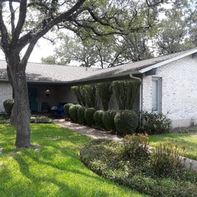 Bush Trimming by Cut n up lawn care services reviewed on August 19, 2025