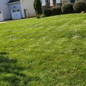 turf maintenance by DJ LANDSCAPING &amp; CONSTRUCTION LLC reviewed on April 27, 2021