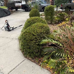Bush Trimming by SS Landscaping and tree care services reviewed on April 9, 2026
