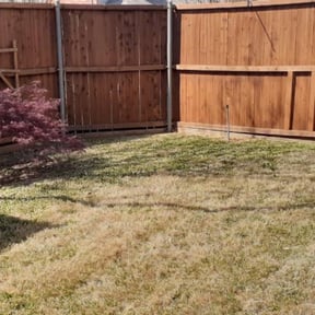 Leaf Removal by AC LAWNCARE reviewed on December 9, 2024