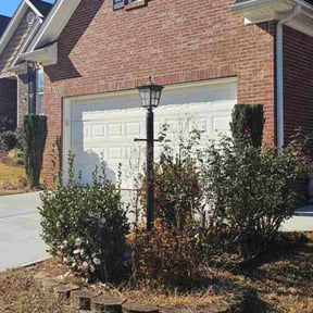 Bush Trimming by BAM Lawn, Lights &amp; Maintenance reviewed on June 25, 2025