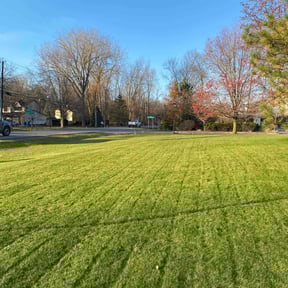 Leaf Removal by CT Mowing reviewed on November 23, 2025