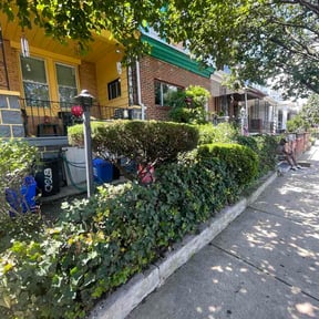 Bush Trimming by Paul's Lawncare Services reviewed on August 2, 2026