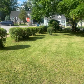 Bush Trimming by M & F Landscaping Services LLC reviewed on August 15, 2025