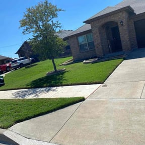 landscape maintenance by Quality Lawn Care reviewed on August 19, 2025