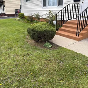 Bush Trimming by CTRL SPC LLC reviewed on August 15, 2025