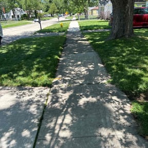 yard maintenance by Dorman property services reviewed on November 21, 2025