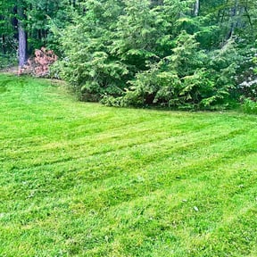 Cleanups by BNK Home Improvements &amp; Landscaping LLC reviewed on August 19, 2025