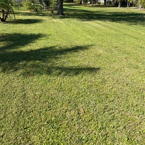 lawn care services by Tropical Greenscape reviewed on October 16, 2024