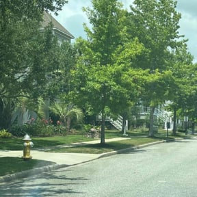 turf care by Joe's Tree & Lawn Services reviewed on August 19, 2025