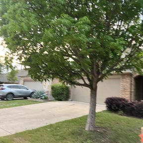 Bush Trimming by 618'S Snappin Out Lawn Care reviewed on August 21, 2025