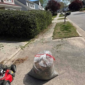 Bush Trimming by Scott's Landscaping reviewed on March 30, 2026